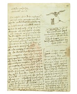 Codex on the Flight of Birds, Folio 16 Recto